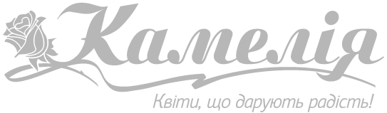 Logo Of Kamelia